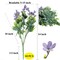 Grand Verde Wildflowers Artificial Flowers Real Touch Bouquets Faux Ranunculus Bulk Greenery, 10pcs